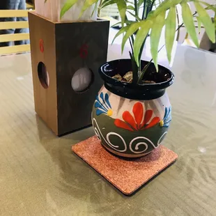 a potted plant on a coaster