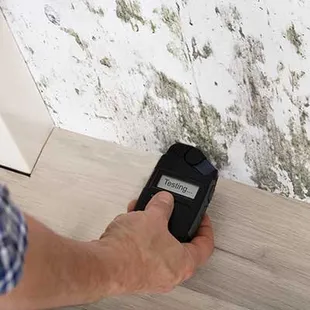 Mold Testing Services