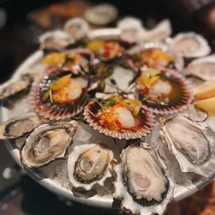 Scallops and oysters at Water Grill in Bellevue.