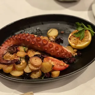 Wild Spanish Octopus