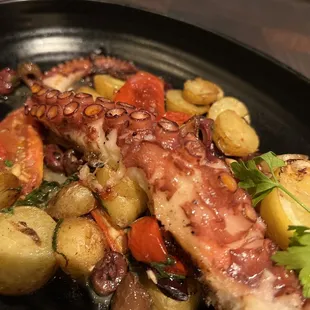 Grilled Octopus