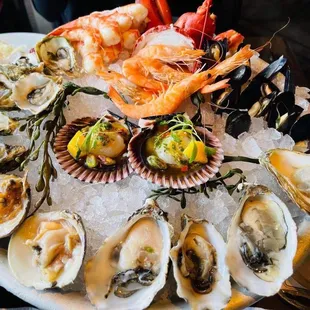 shellfish, food, oysters, oysters and mussels, mussels