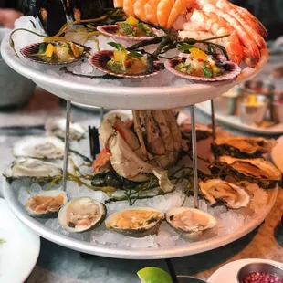 oysters, shellfish, food, oysters and mussels, mussels