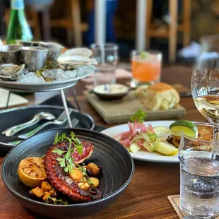 WILD SPANISH OCTOPUS ...