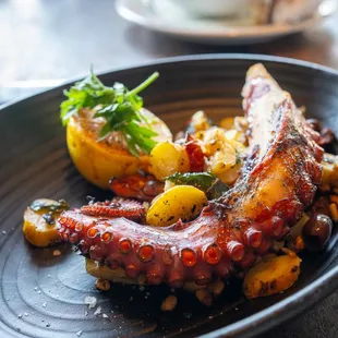 Wild Spanish Octopus