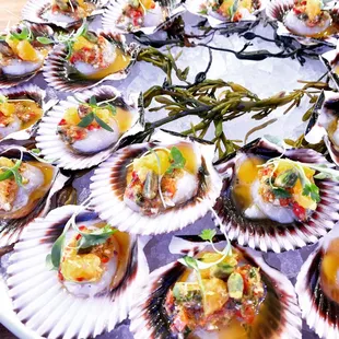 Peruvian scallops