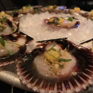 Top notch scallop:)