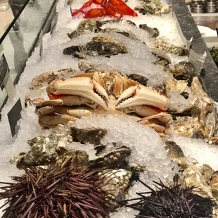 shellfish, mussels, food, oysters, oysters and mussels