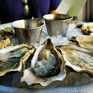 Oyster sampler