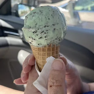 Mint and Chip! Delicious!!