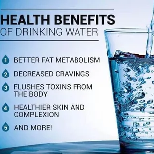 Our waters are better because of high quality filters and frequent changing of them