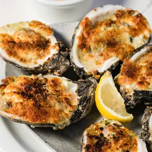 a plate of oysters