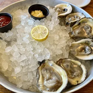 Oysters on the Half Shell