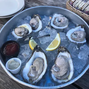 Raw Oysters