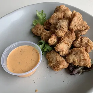 Gator Bites