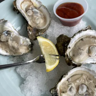 Raw Oysters