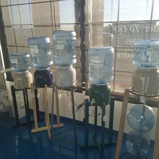 Assortment of crocks and stands.