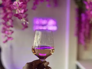 vinology