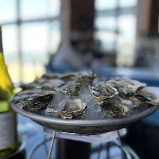 $1.55 Featured oysters at Waterbar is still the best steak in town