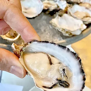 HH oysters $1.05/each