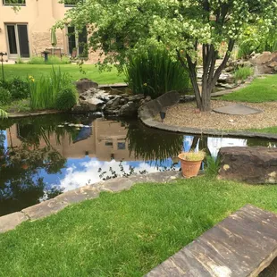 a pond and bench
