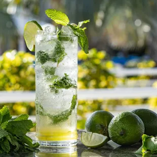 Mojito - Watercolour Grillhouse at Clearwater Beach Marriott Suites on Sand Key