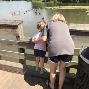 the ducks and playground