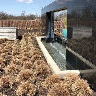Plantings around water feature at the entrance