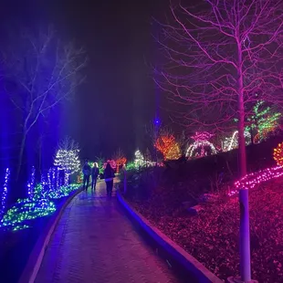 Gardens Aglimmer event December 2023