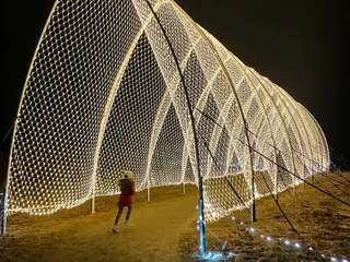 Winter Illuminations