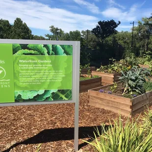 CalSTRS outdoor garden. What they grow in the garden they use In food preparation and in the salad bar