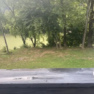 The back seating area