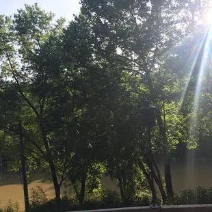 The view of the river. I kid you not, I've swam in that water countless times growing up.