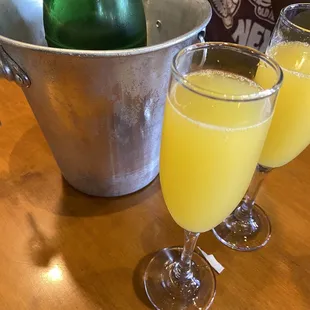 Mimosa