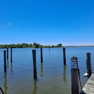a view of a dock