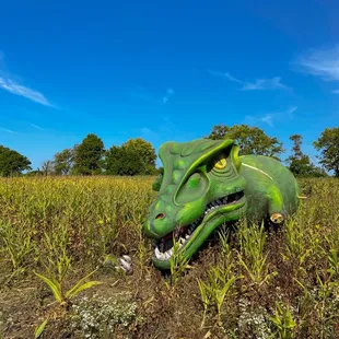 a green dragon head in a field