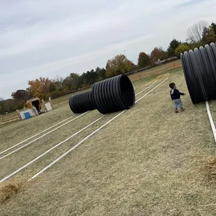 children playing in a field