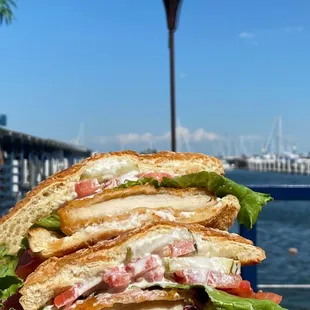 a close up of a sandwich