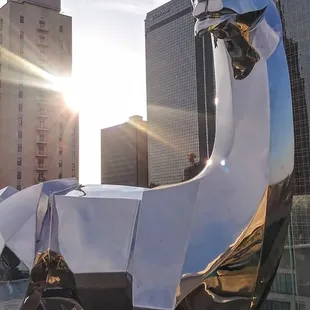 Sun shot and llama pose