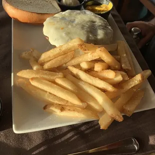 Parmesan fries - hot and crispy with burger