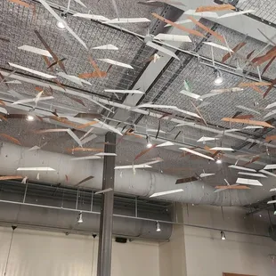 Cut ocean vibe inside