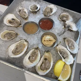 Oysters on the Half Shell