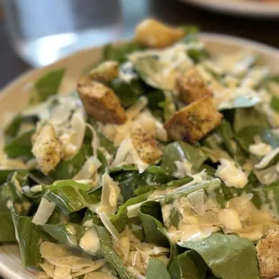 Chicken Caesar Salad