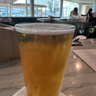 Enjoyed Lagunitas IPA