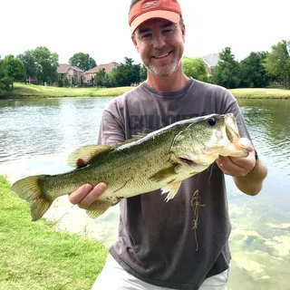 Brent H.