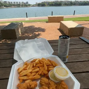 Chicken tenders and fries