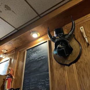 a bull head mounted on the wall