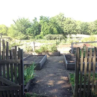 The garden behind the big house