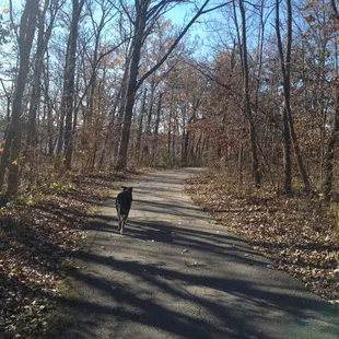 Great trail for walking the dog!