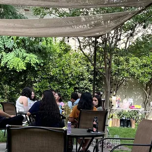 Part of garden (with guests and more decorations)